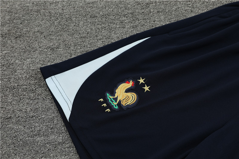 2024 France Short Sleeve Training Suit/2024法国浅兰色短袖训练服