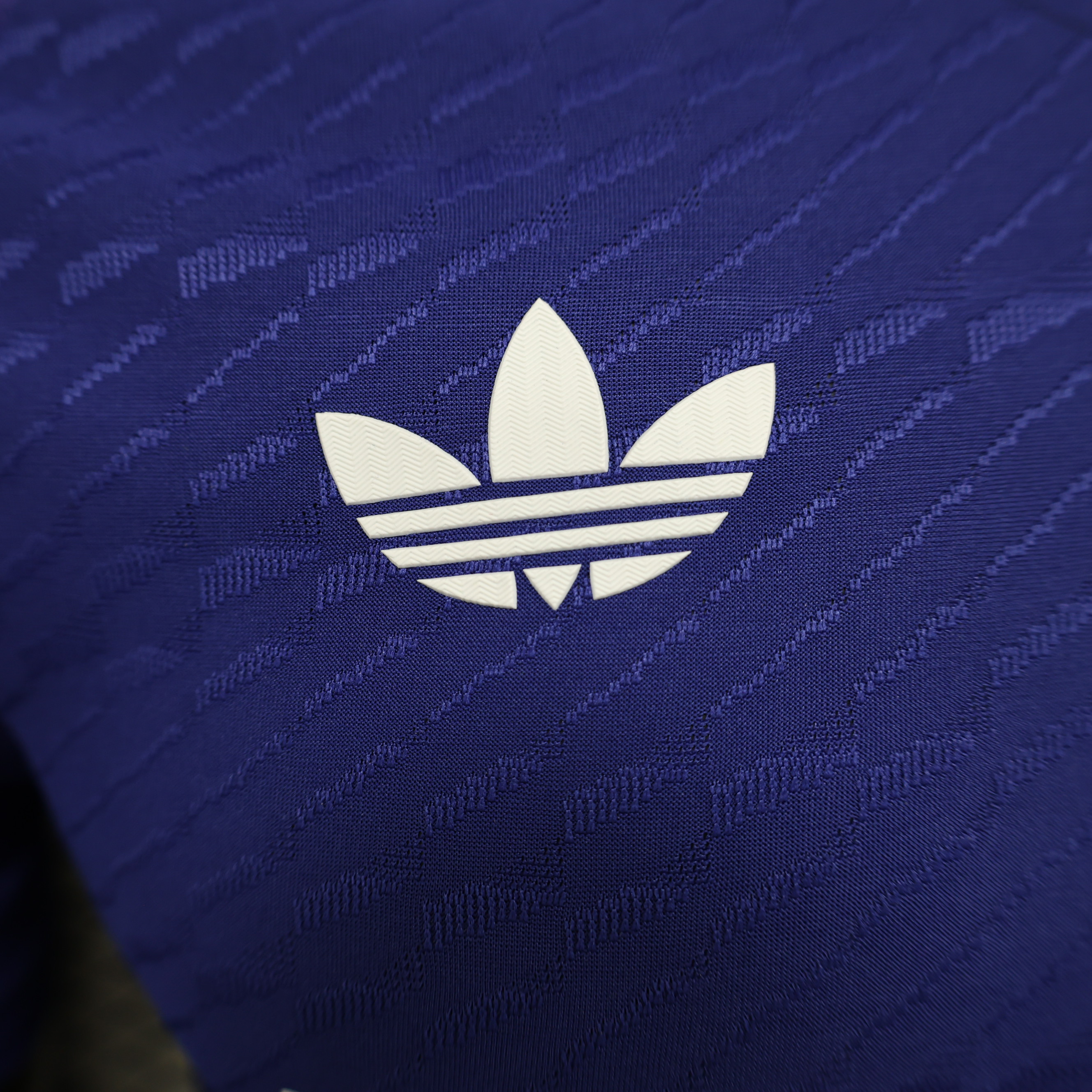 24-25 Real Madrid Special Player Jersey/24-25皇马特别球员版