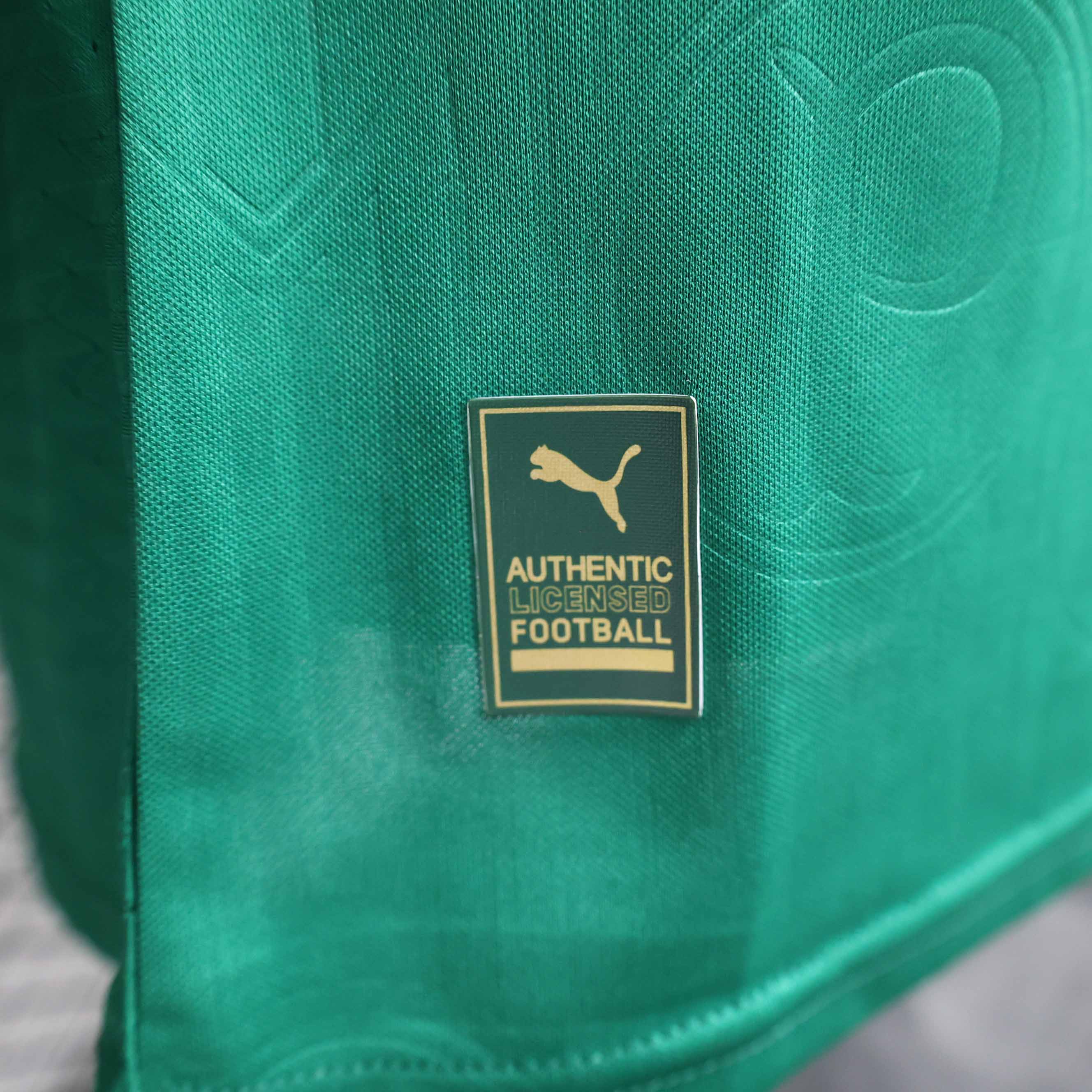 24-25 Palmeiras Home Player Jersey/24-25 帕尔梅拉斯主场球员版