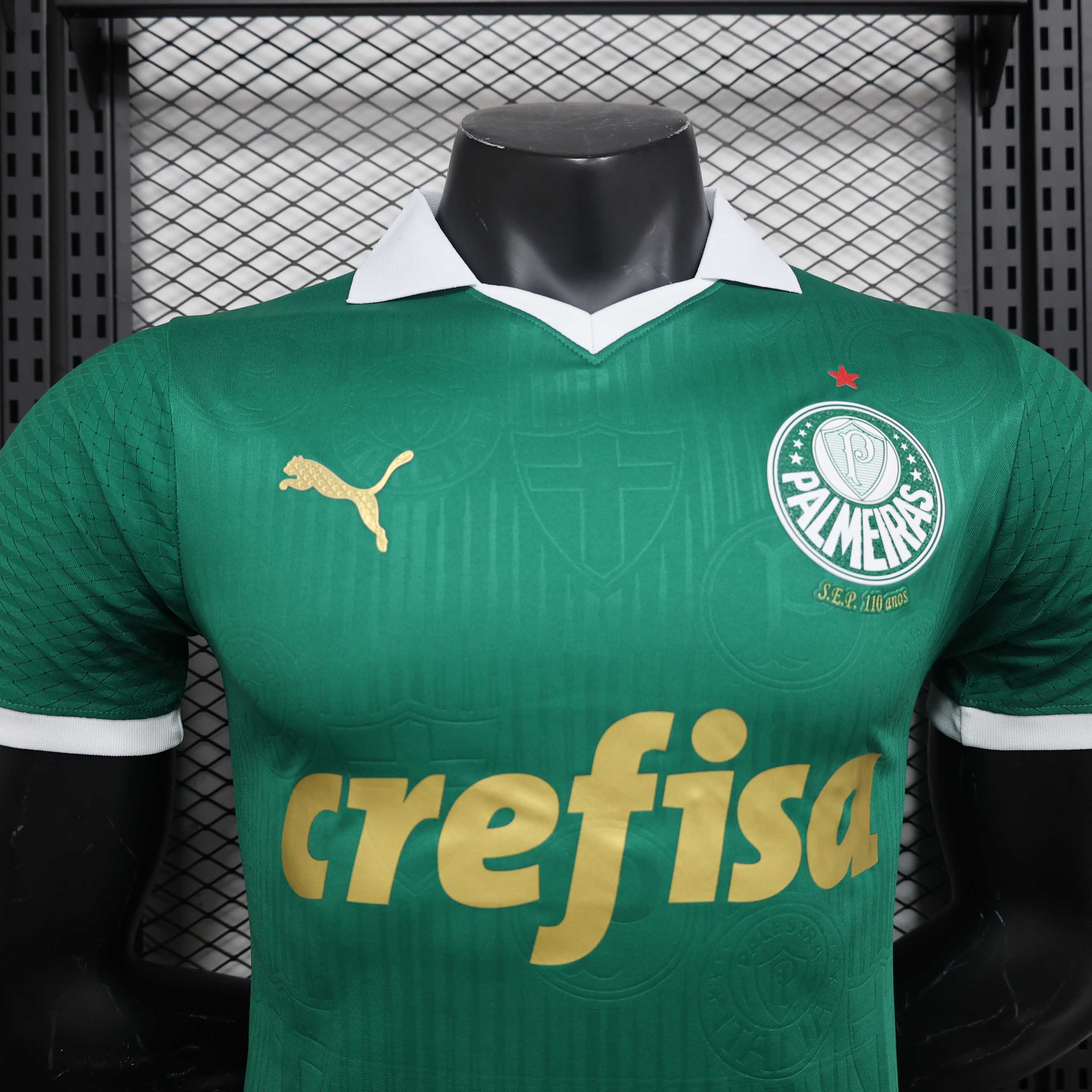24-25 Palmeiras Home Player Jersey/24-25 帕尔梅拉斯主场球员版