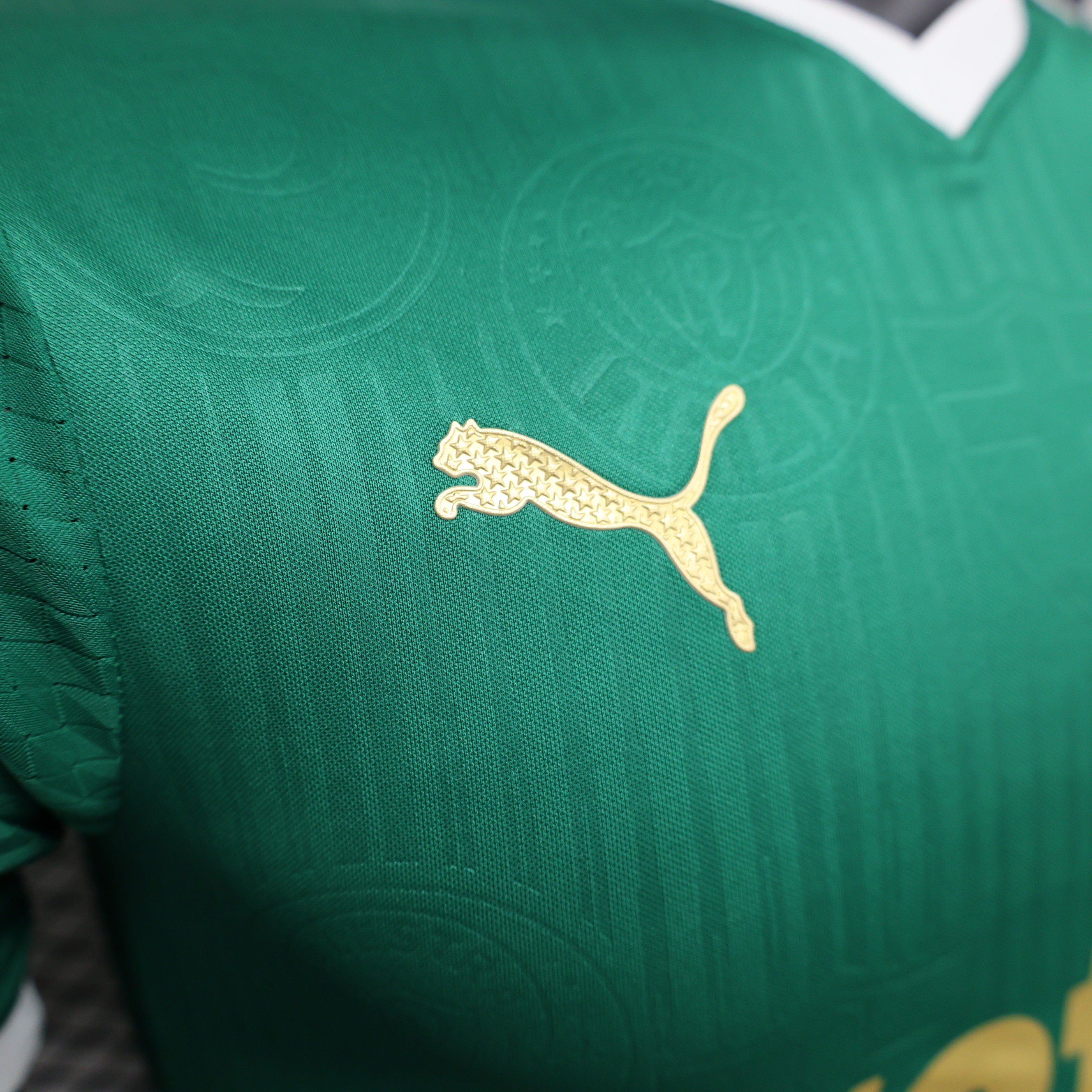24-25 Palmeiras Home Player Jersey/24-25 帕尔梅拉斯主场球员版