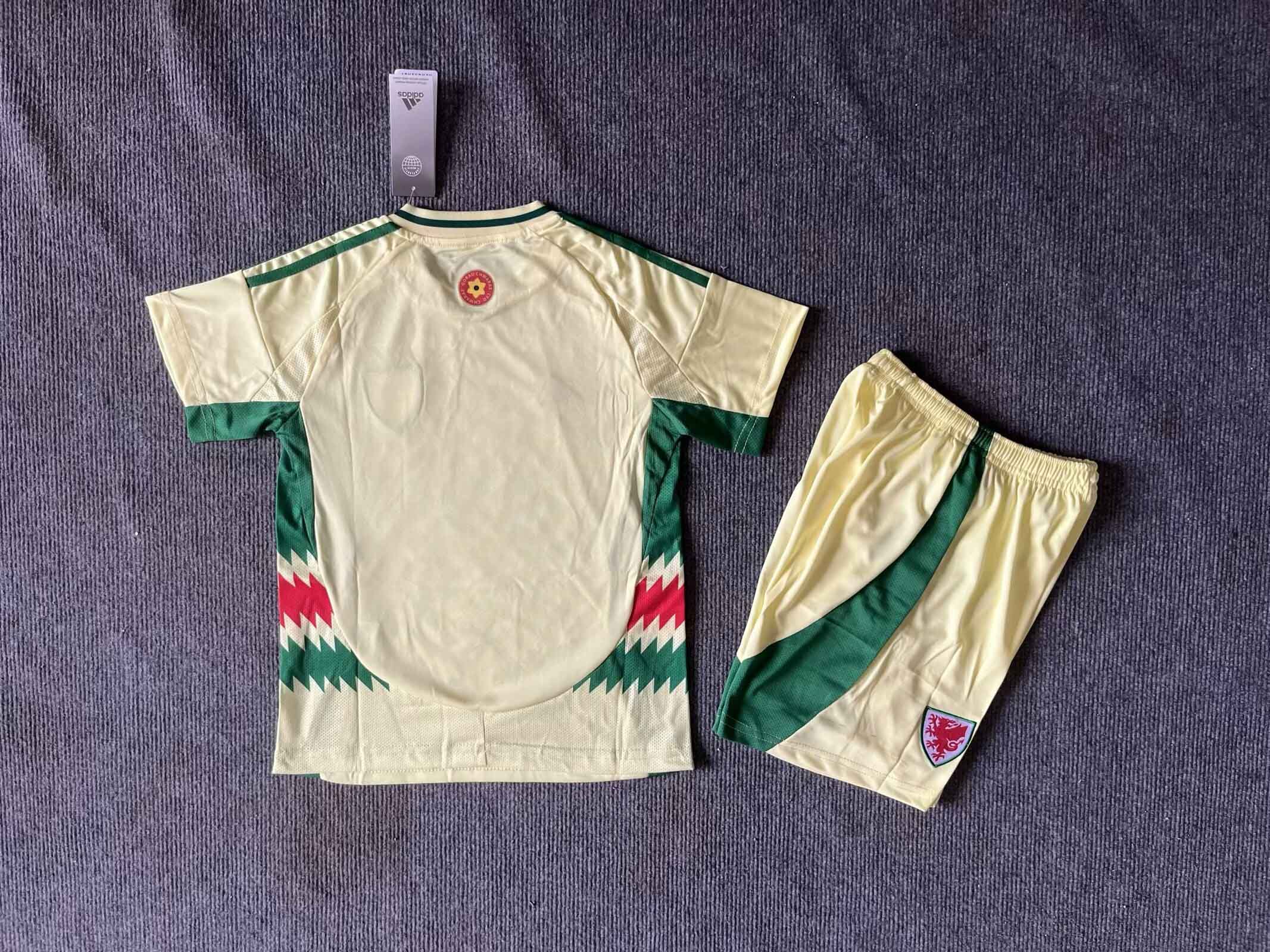 2024 Wales Away Kid Kit/ 2024 威尔士客场童装