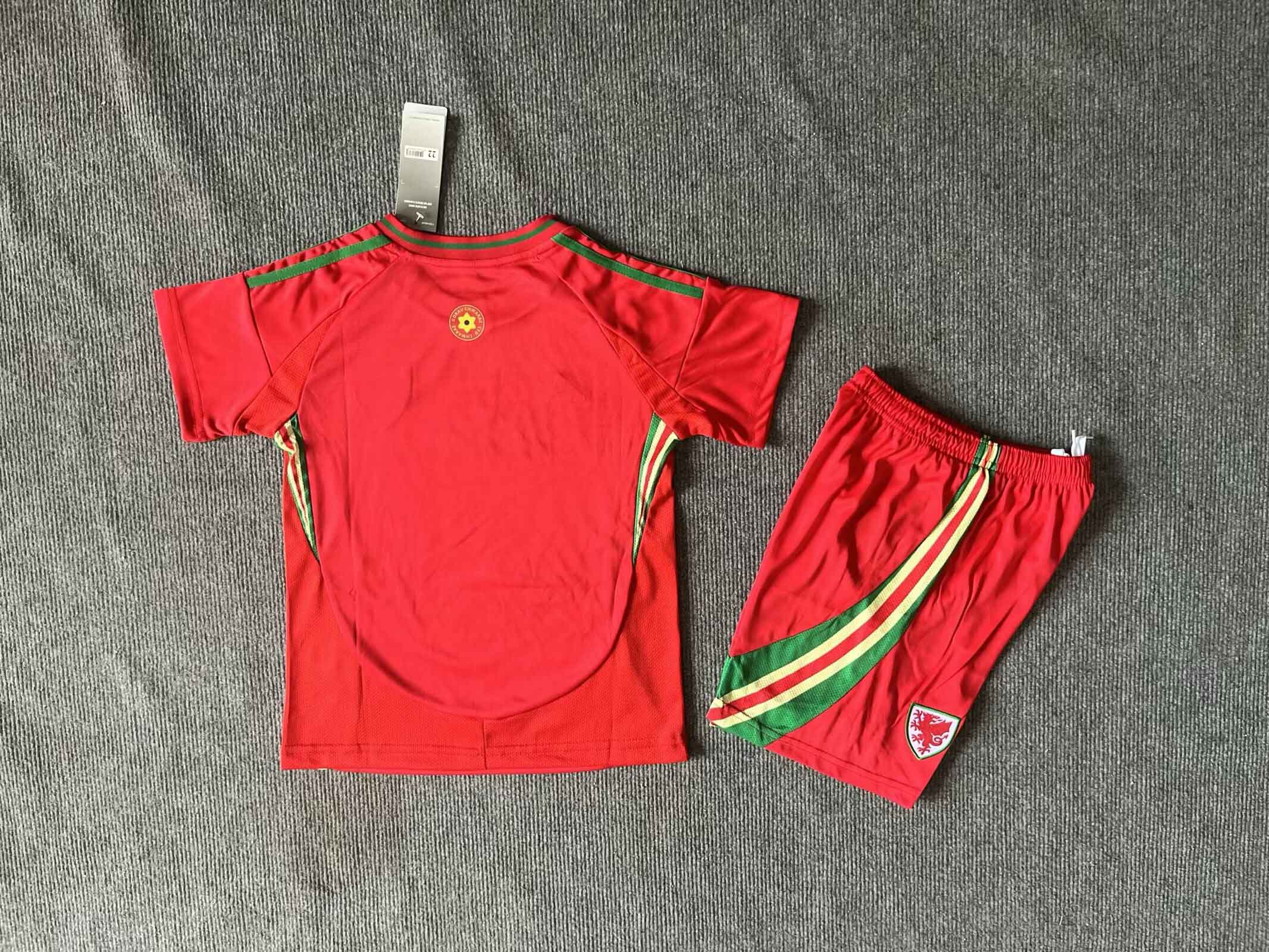 2024 Wales Home Kid Kit/ 2024 威尔士主场童装
