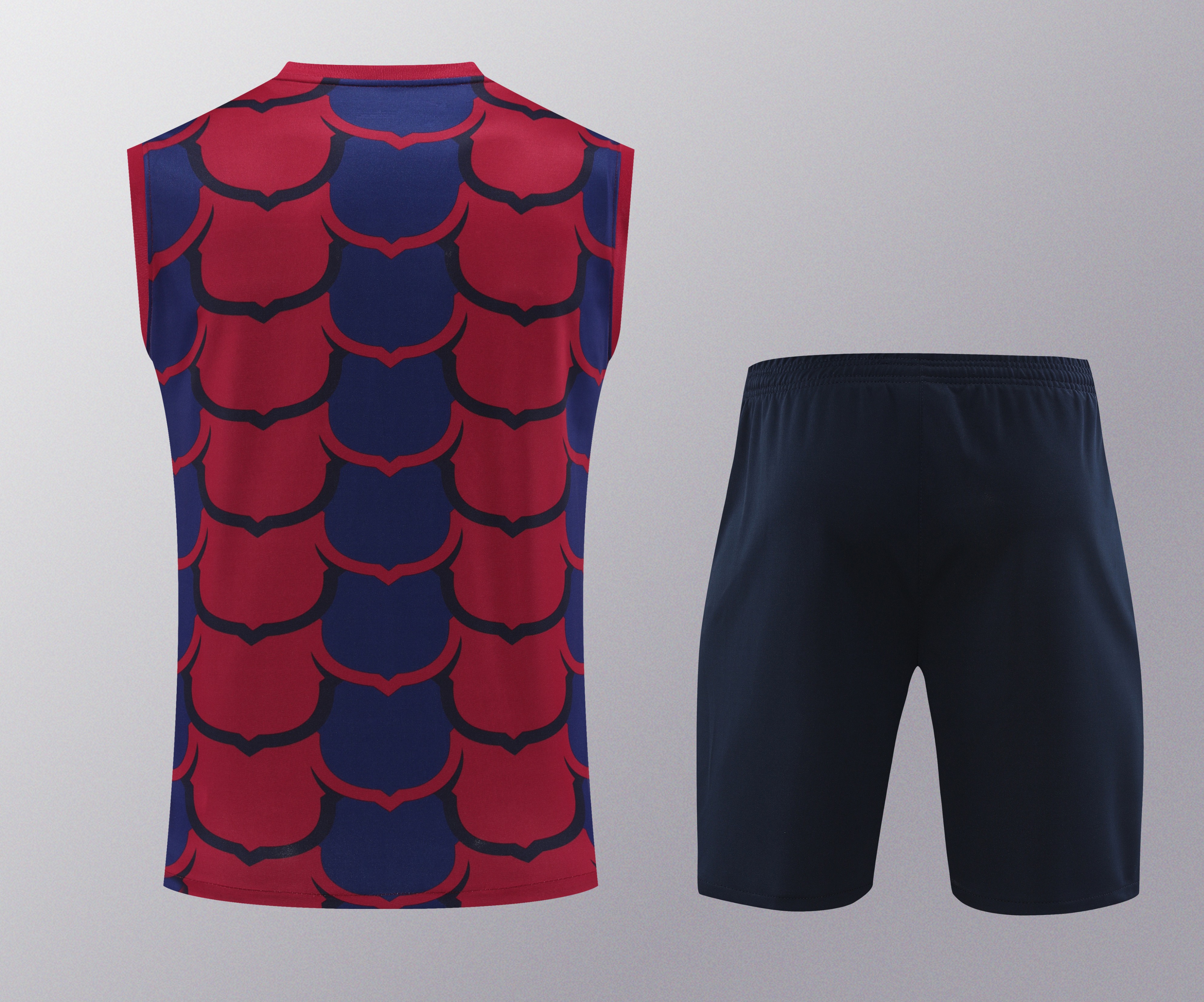 24-25 Barcelona Vest Training Suit/24-25巴萨背心训练服