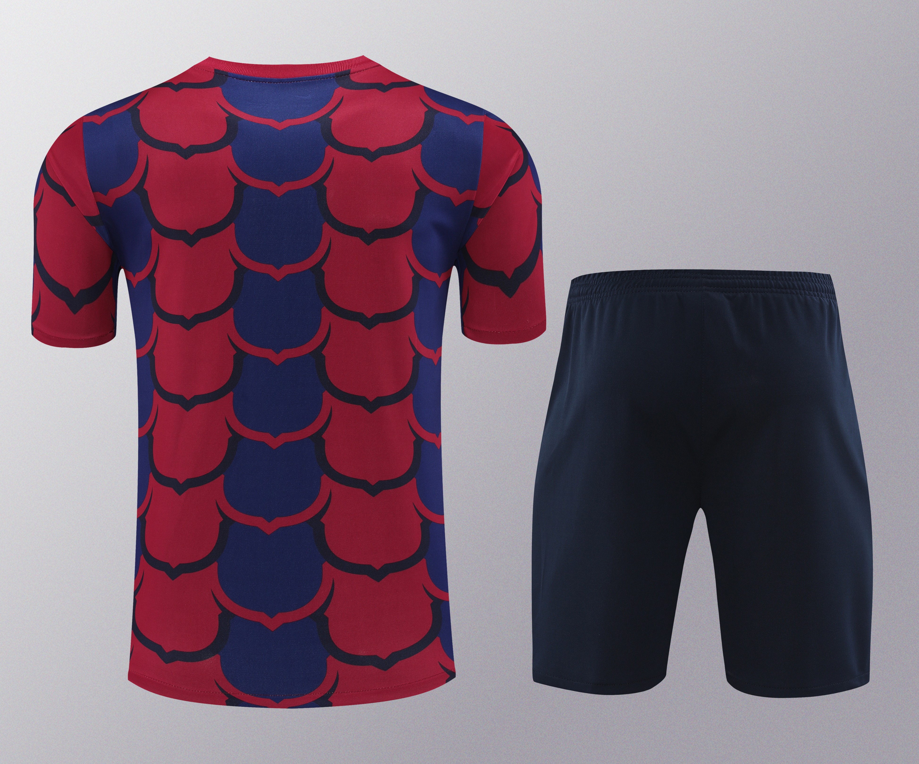 24-25 Barcelona Training Short Sleeve Training Suit/24-25巴萨短袖训练服
