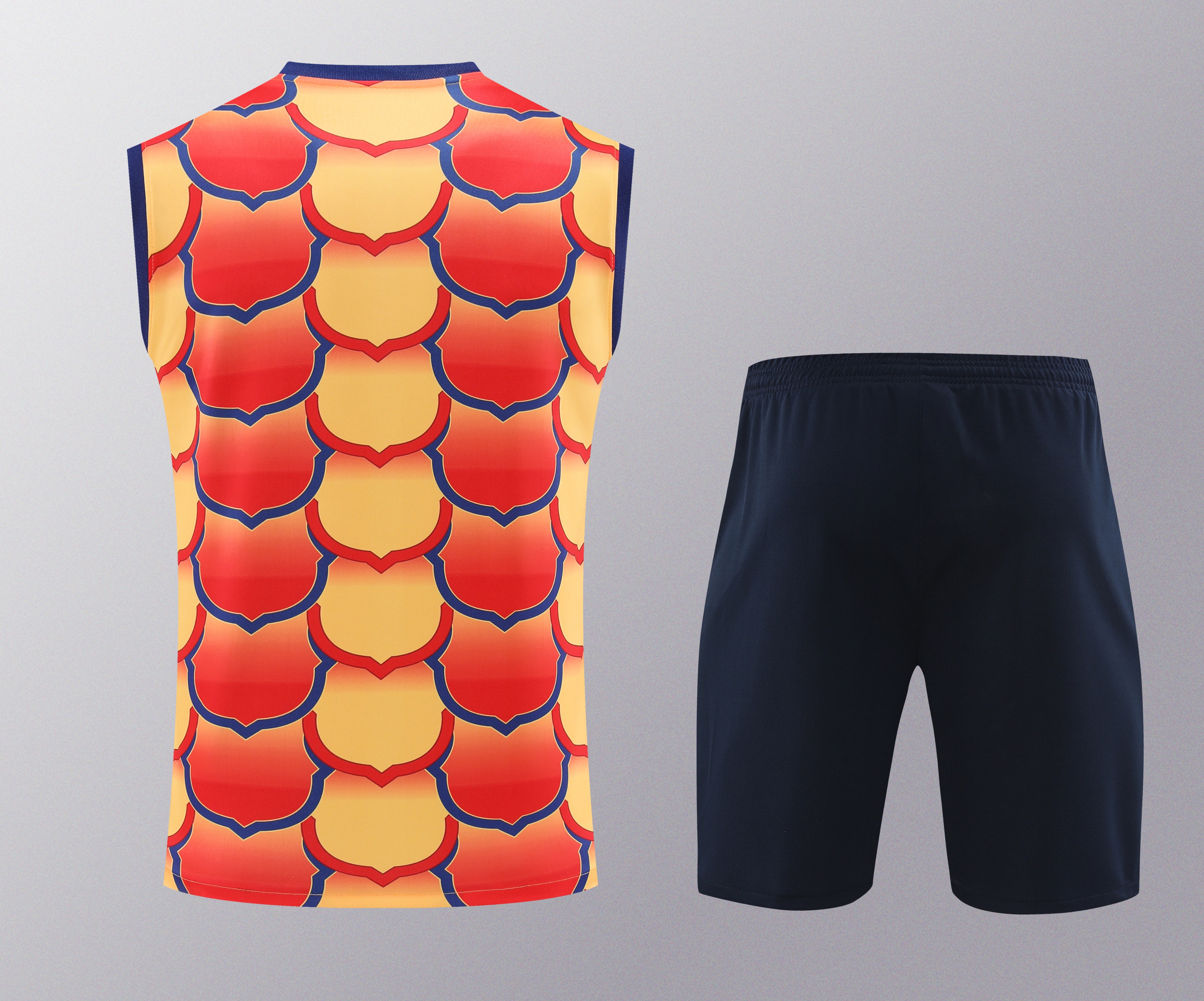 24-25 Barcelona Vest Training Suit/24-25巴萨背心训练服