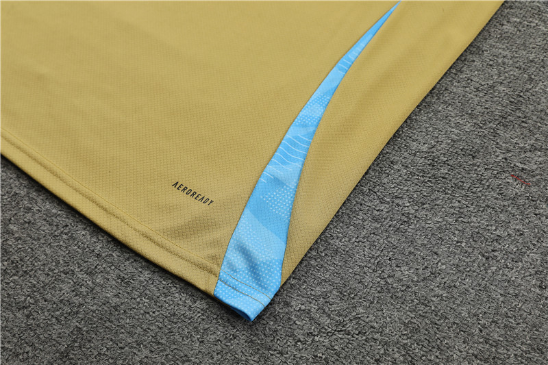 2024 Argentina Short Sleeve Training Suit/2024阿根廷短袖训练服