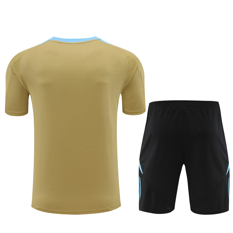 2024 Argentina Short Sleeve Training Suit/2024阿根廷短袖训练服