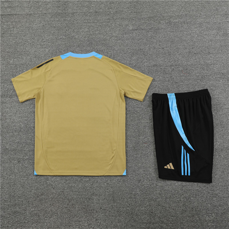 2024 Argentina Short Sleeve Training Suit/2024阿根廷短袖训练服