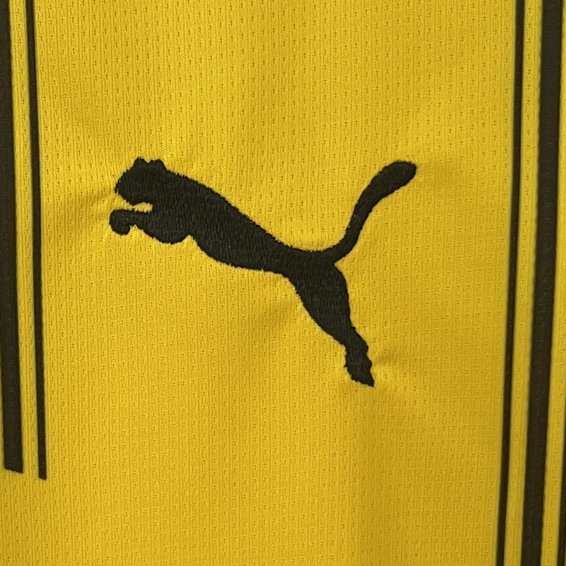 24-25 Dortmund Home Fans Jersey/24-25 多特蒙德主场球迷版