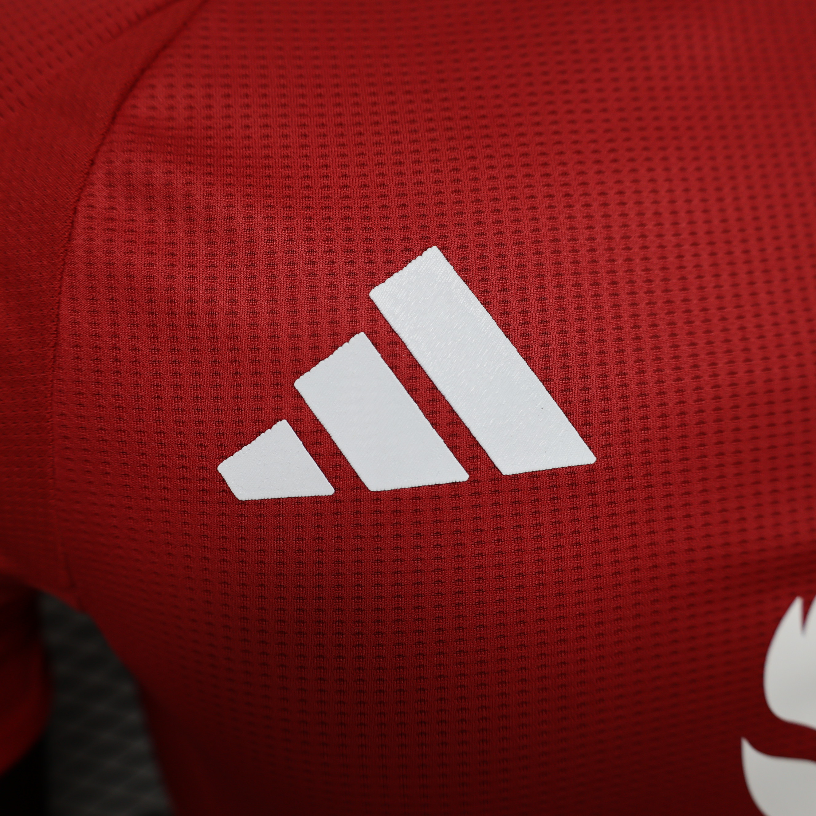 24-25 Manchester United Home Player Jersey/24-25 曼联主场球员