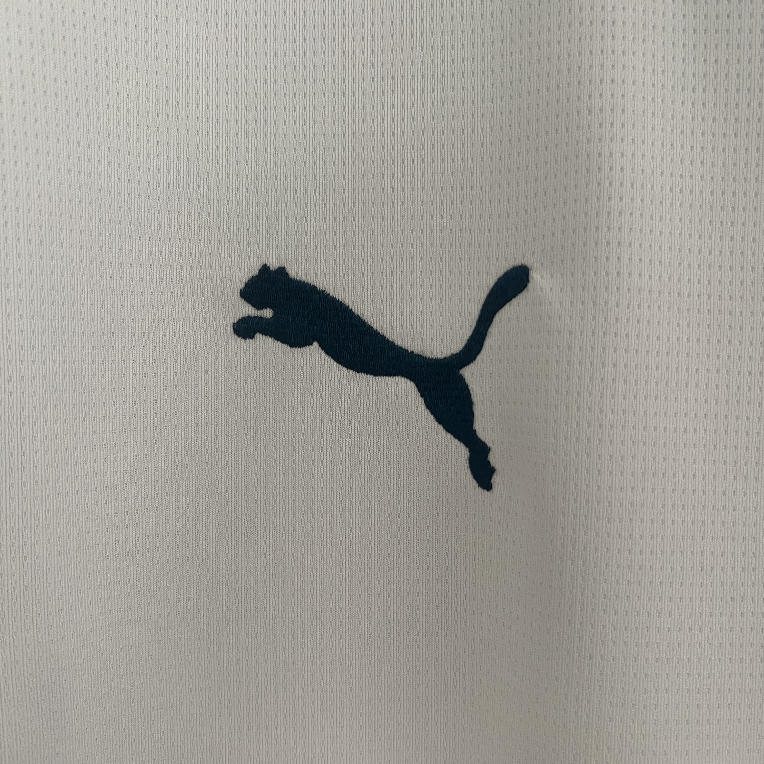 24-25 Marseille Home Fans Jersey/24-25马赛主场球迷版