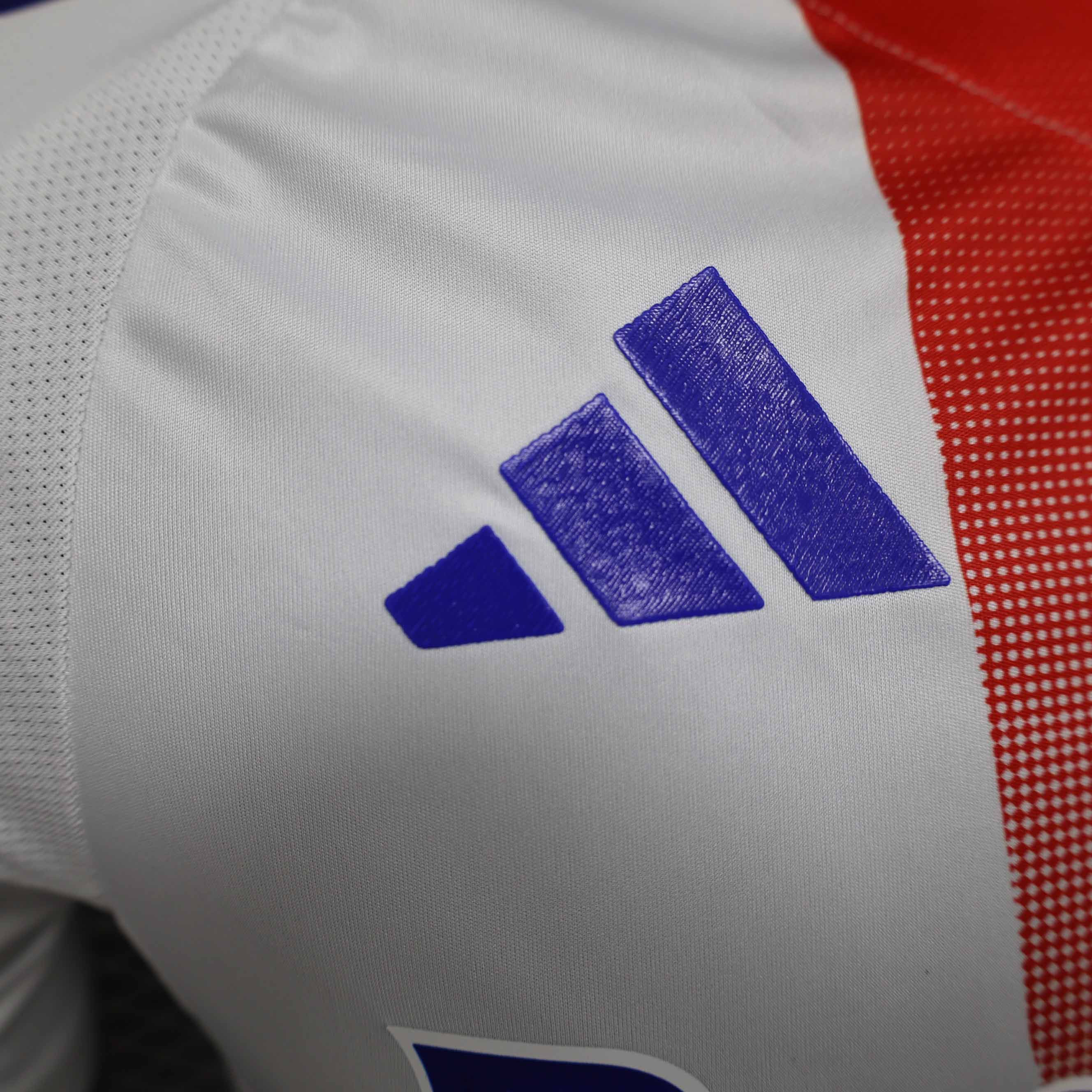 24-25 Lyon Home Player Jersey/24-25 里昂主场球员版