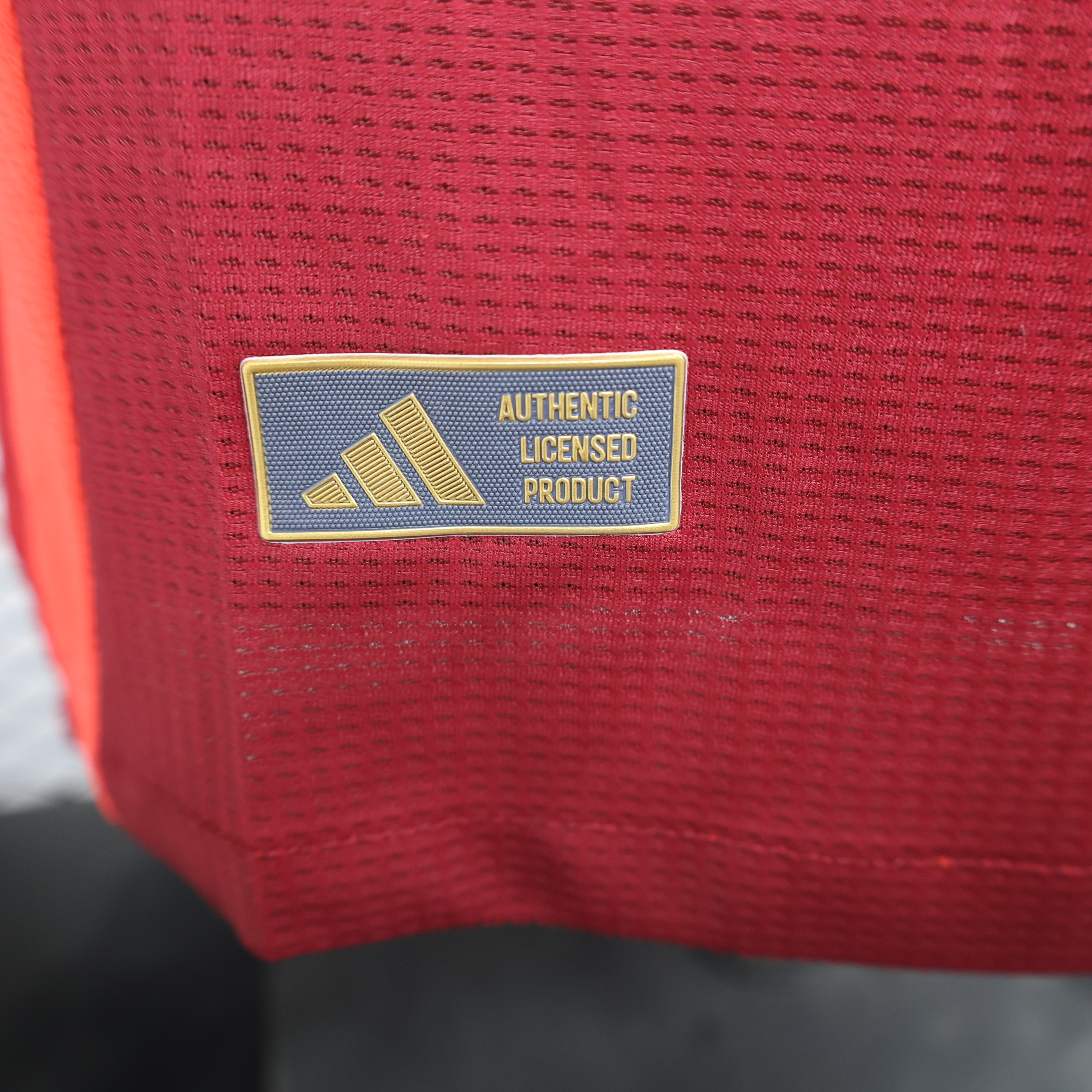 24-25 Manchester United Home Long Sleeve Player Jersey/24-25 曼联主场球员长袖