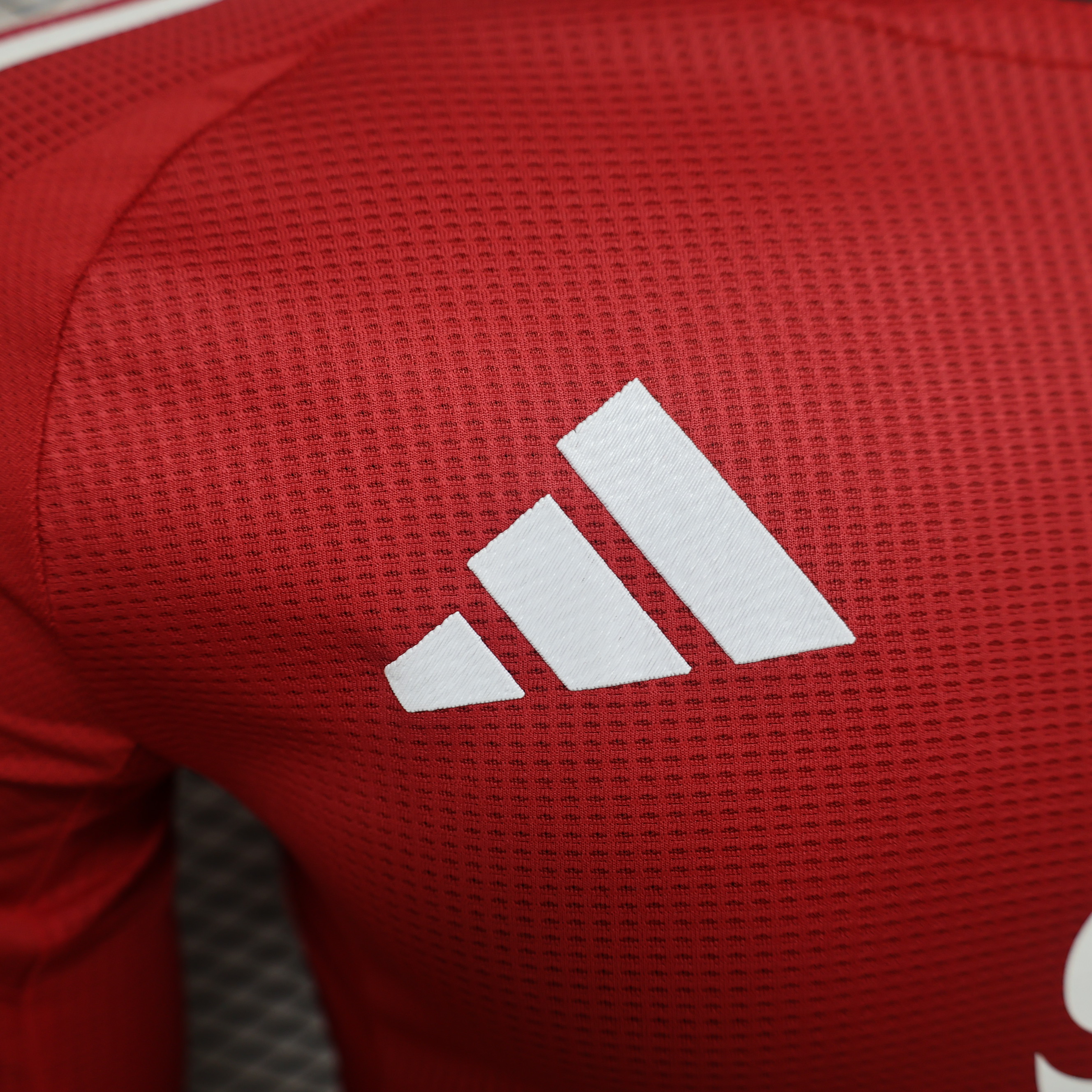 24-25 Manchester United Home Long Sleeve Player Jersey/24-25 曼联主场球员长袖