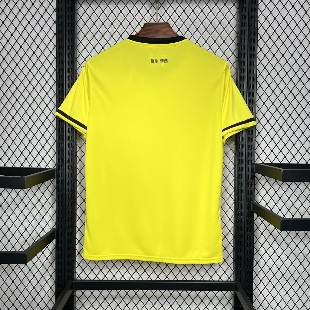 24-25 Lazio Away Fans Jersey/24-25 拉齐奥客场球迷版