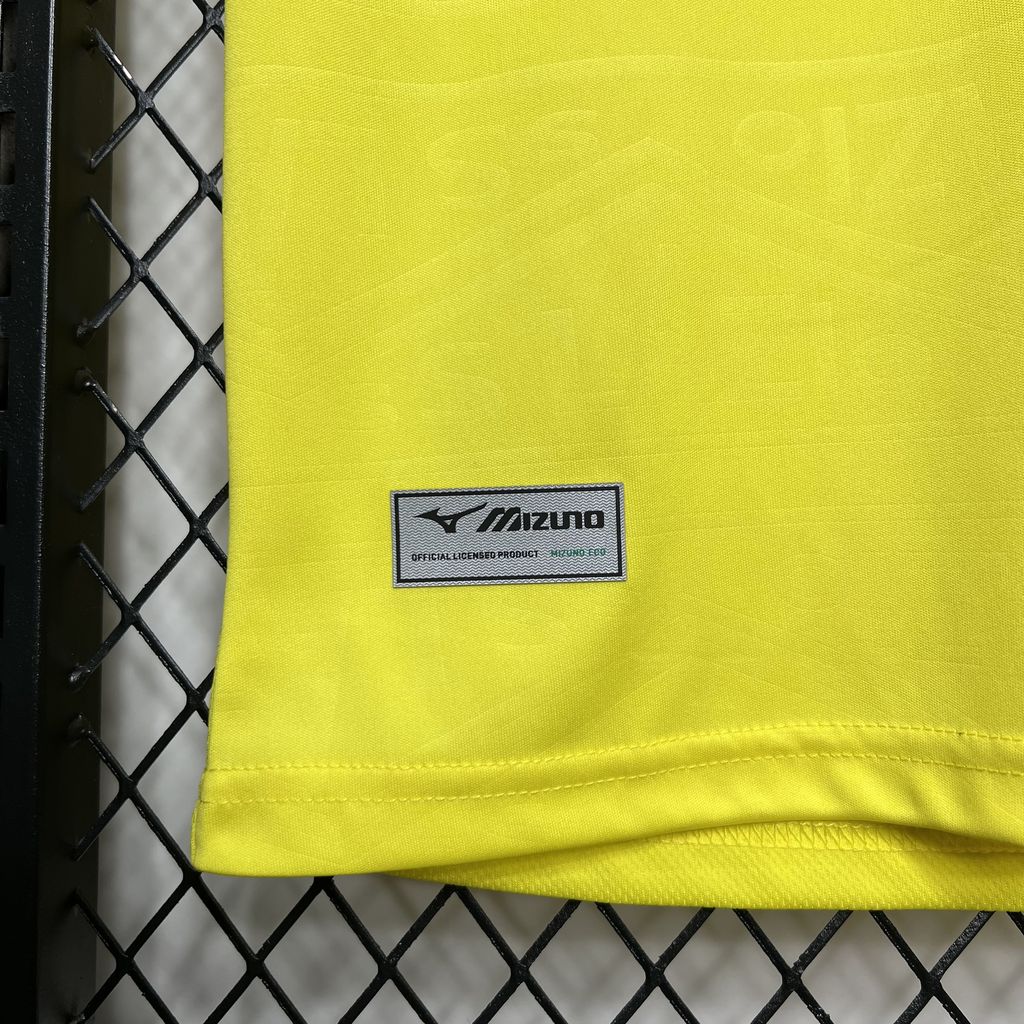 24-25 Lazio Away Fans Jersey/24-25 拉齐奥客场球迷版