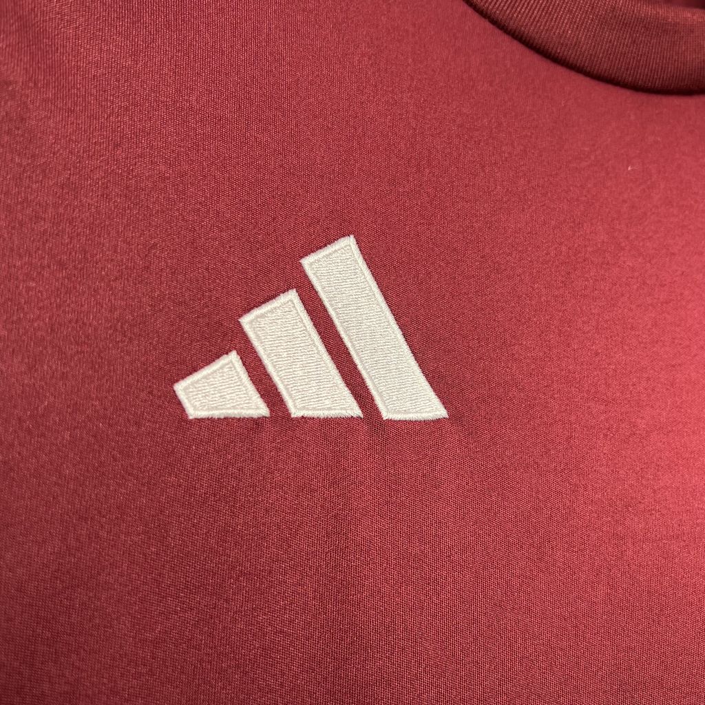 24-25 Aston Villa Home Fans Jersey/24-25 阿斯顿维拉主场球迷版