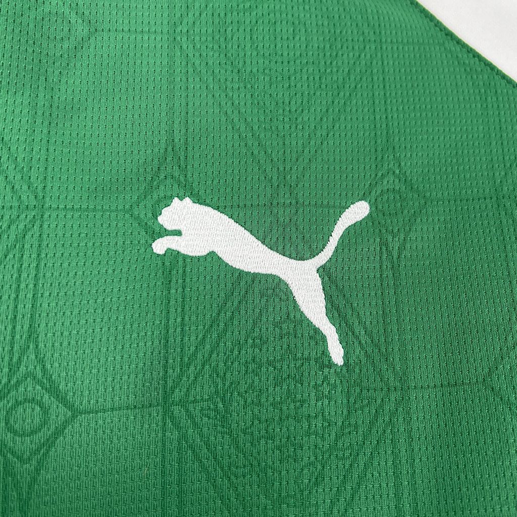 25-26 Palmeiras Home Fans Jersey/ 25-26 帕尔梅拉斯主场球迷版