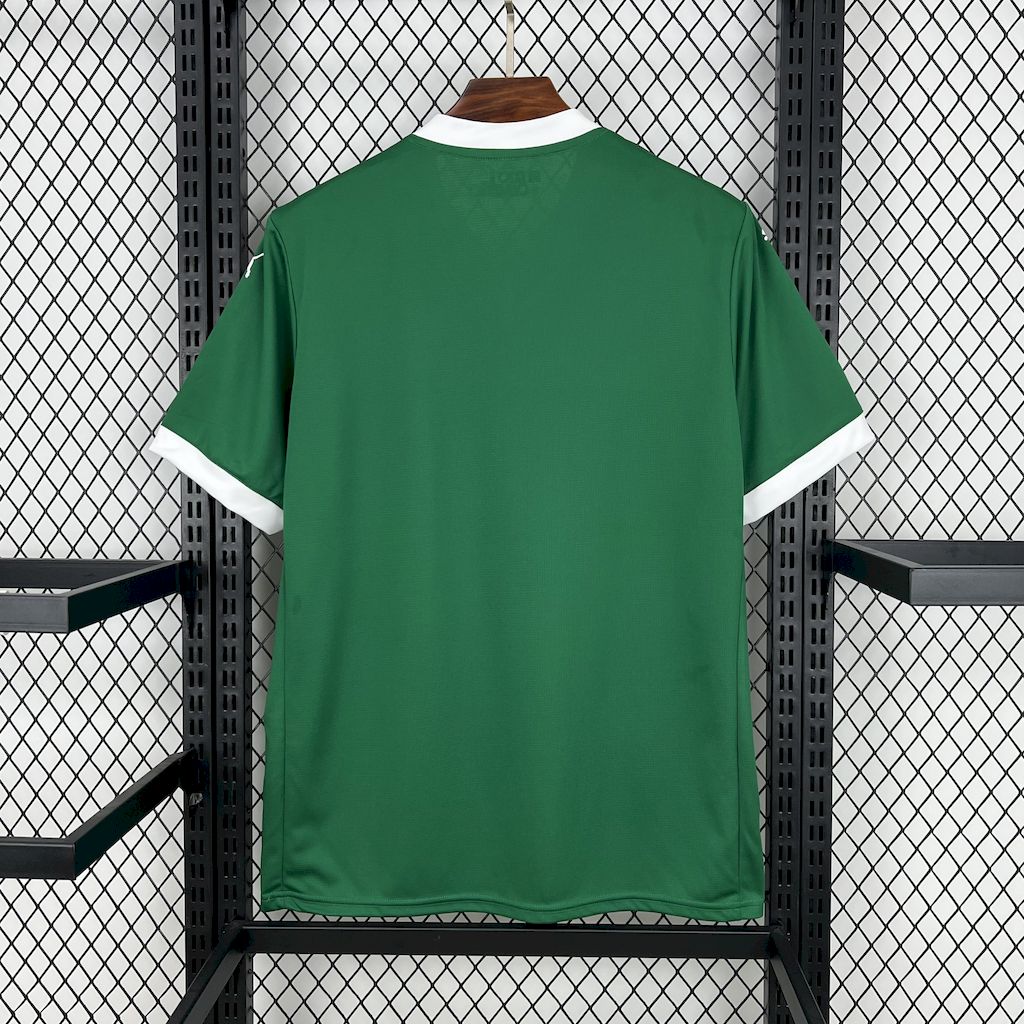25-26 Palmeiras Home Fans Jersey/ 25-26 帕尔梅拉斯主场球迷版