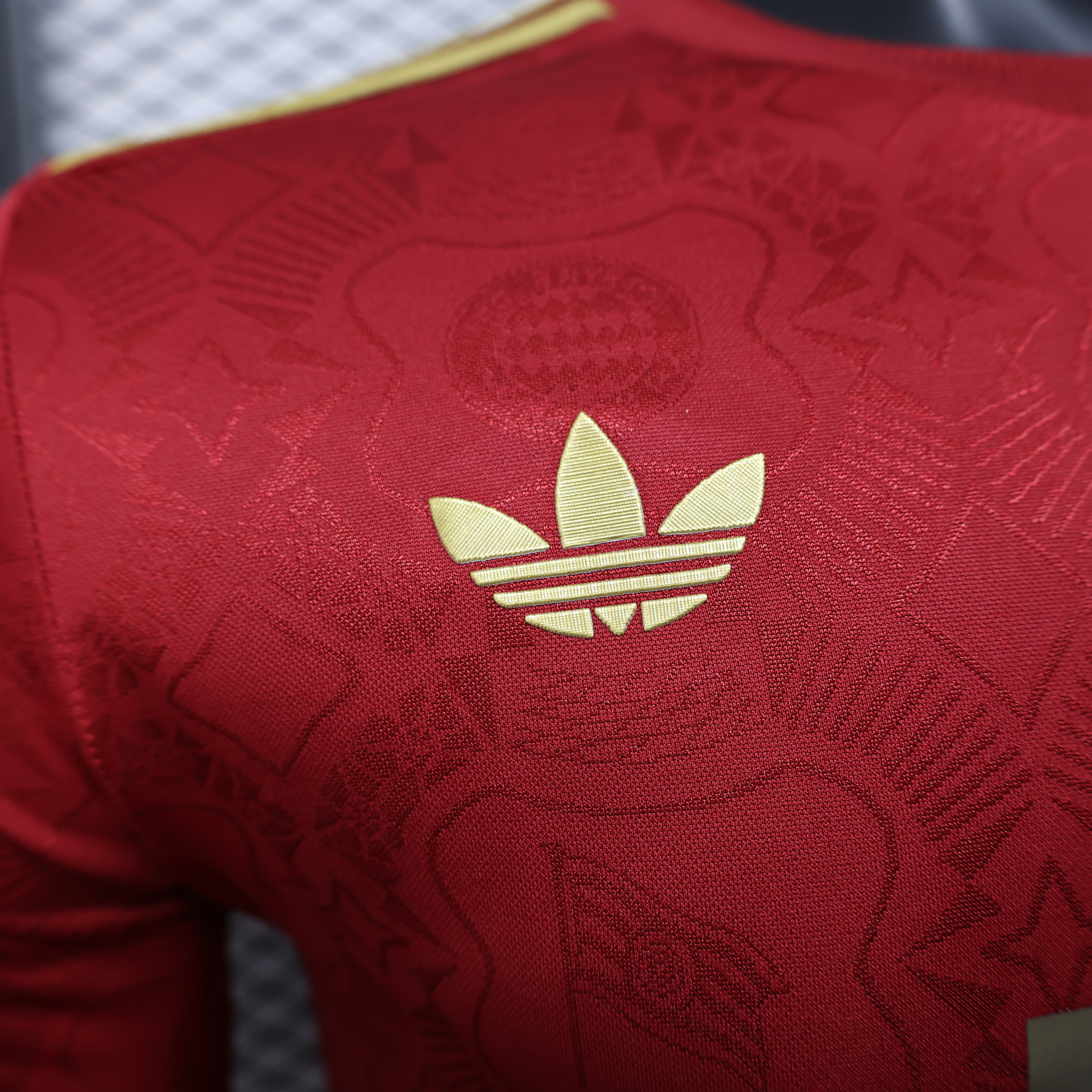 24-25 Bayern Munich 125 Years Long Sleeve Player Jersey/ 24-25 拜仁125周年特别版长袖球员