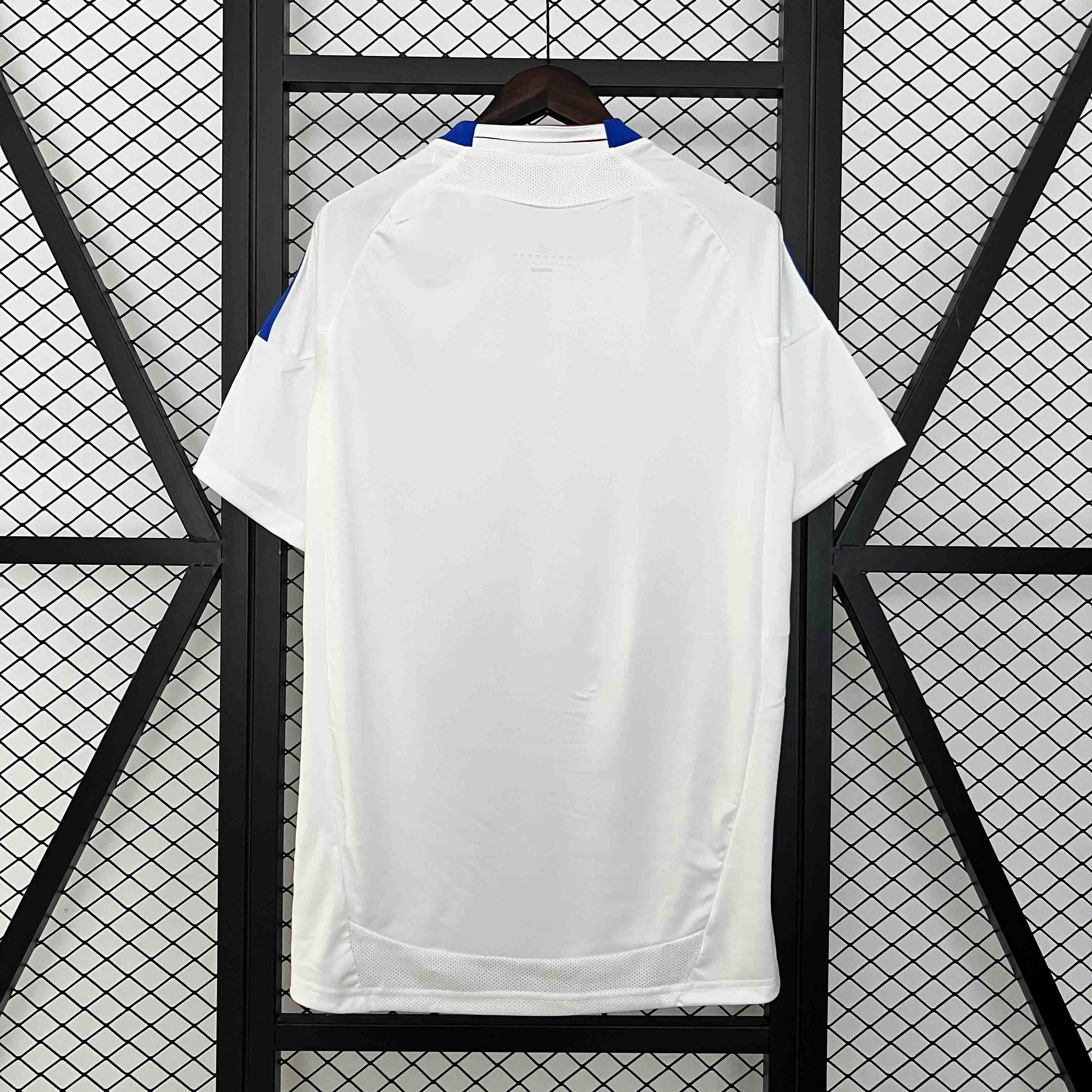 10-11 Lyon Home Retro Jersey/10-11 里昂主场