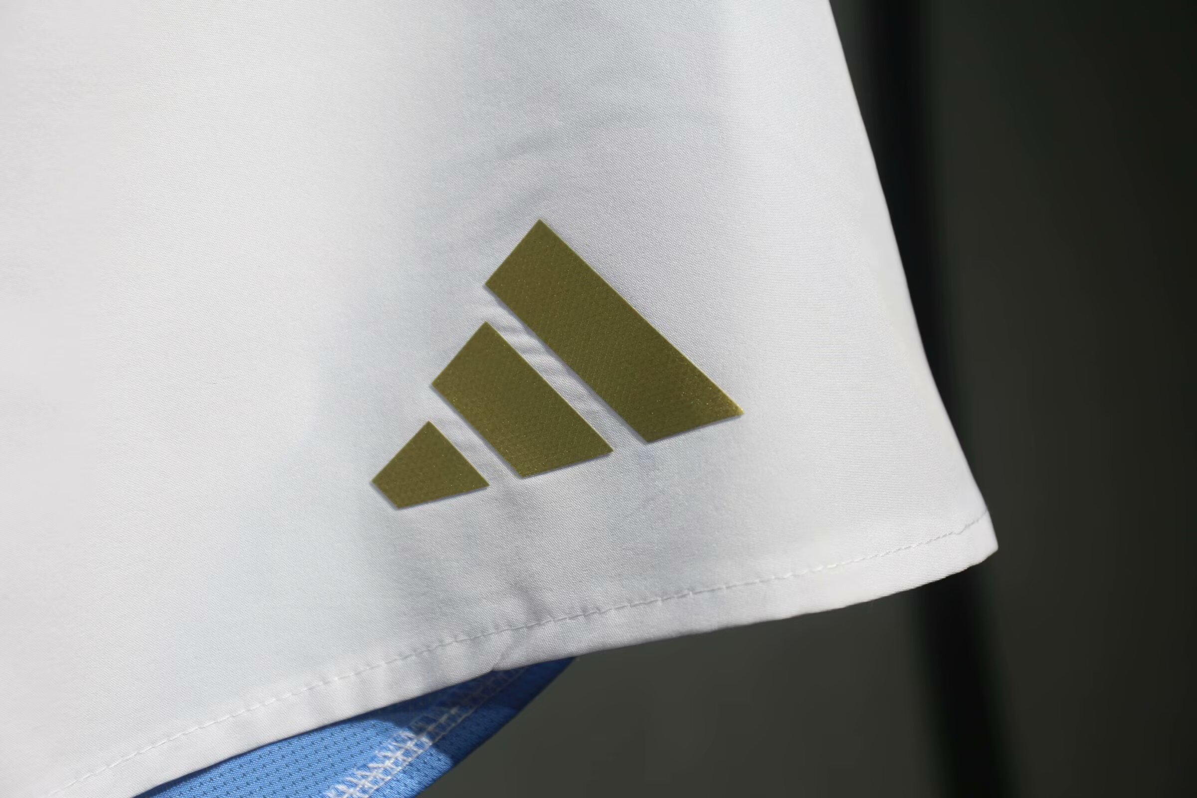 2024 Argentina Home Player Short/2024阿根廷主场球员短裤