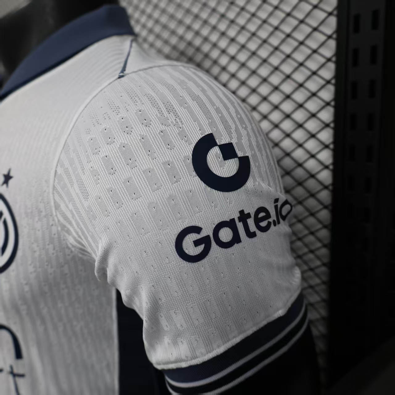 24-25 Inter Milan Special Player Jersey/24-25 国米特别款球员