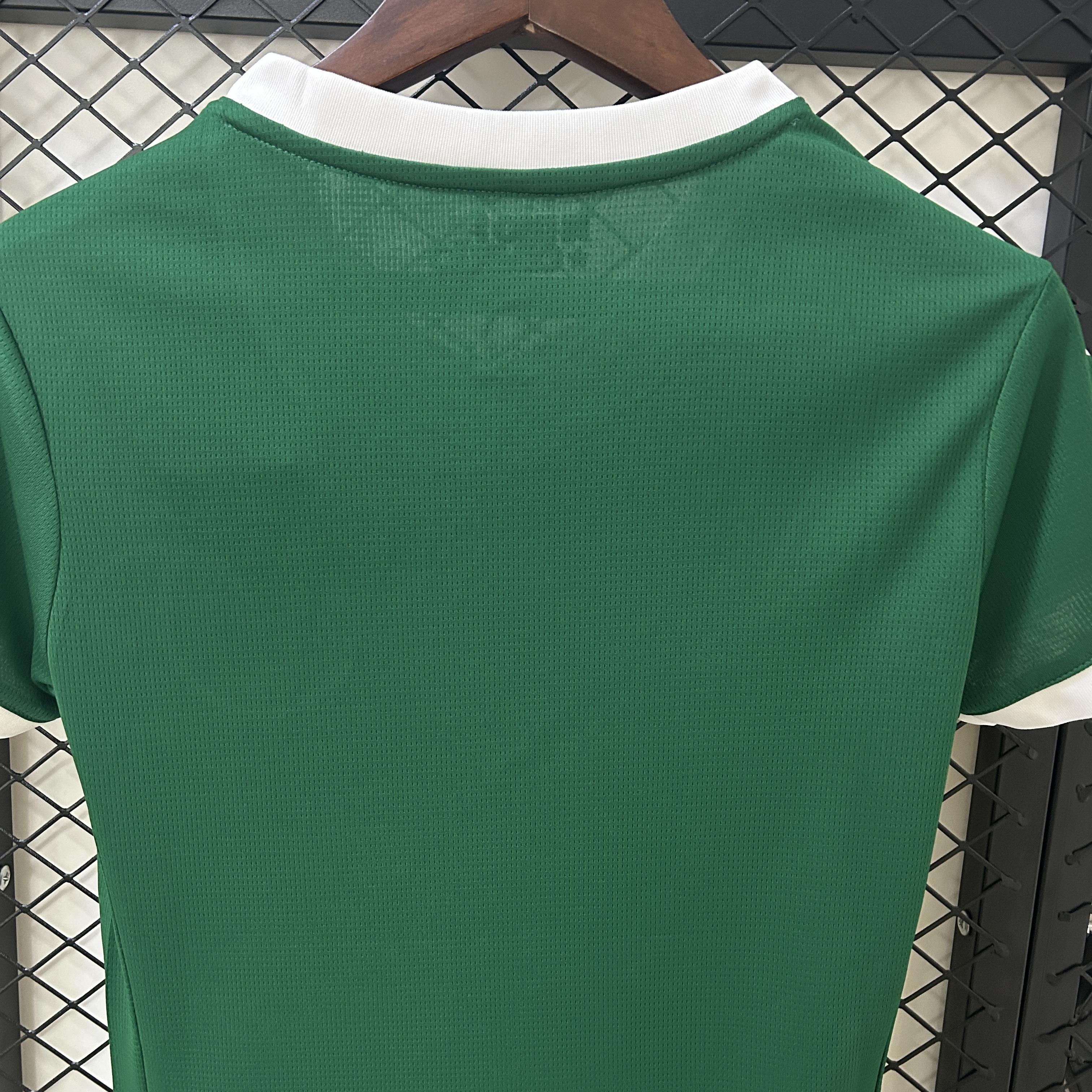 25-26 Palmeiras Home Woman Jersey/25-26帕尔梅拉斯主场女装
