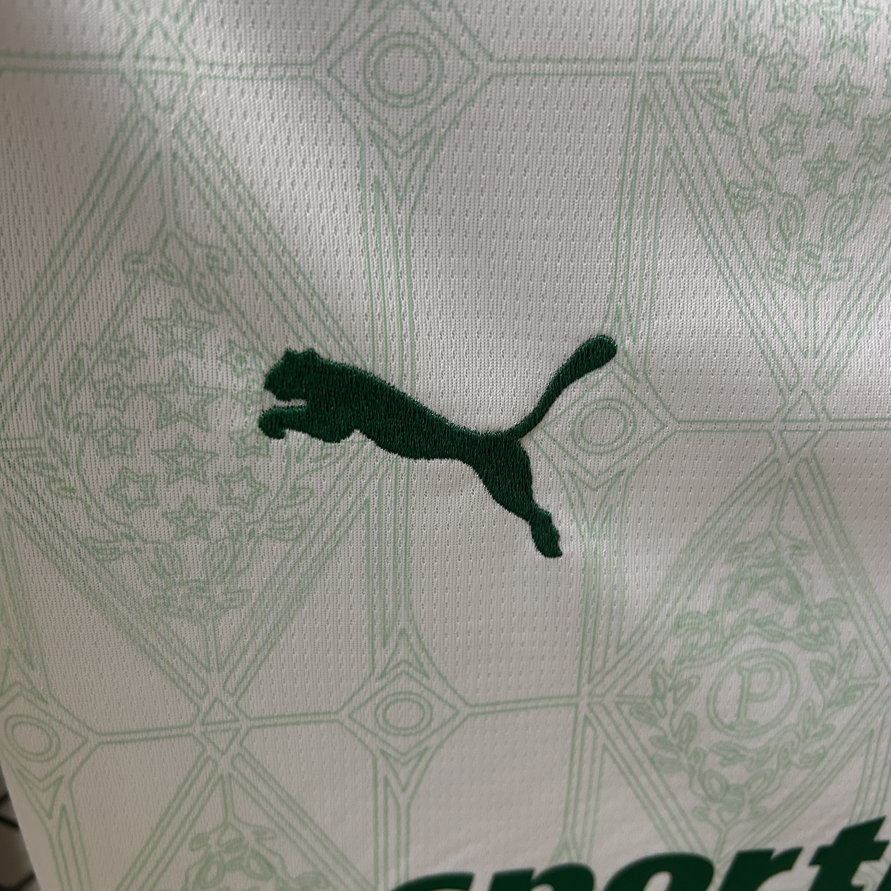 25-26 Palmeiras Away Woman Jersey/25-26帕尔梅拉斯客场女装