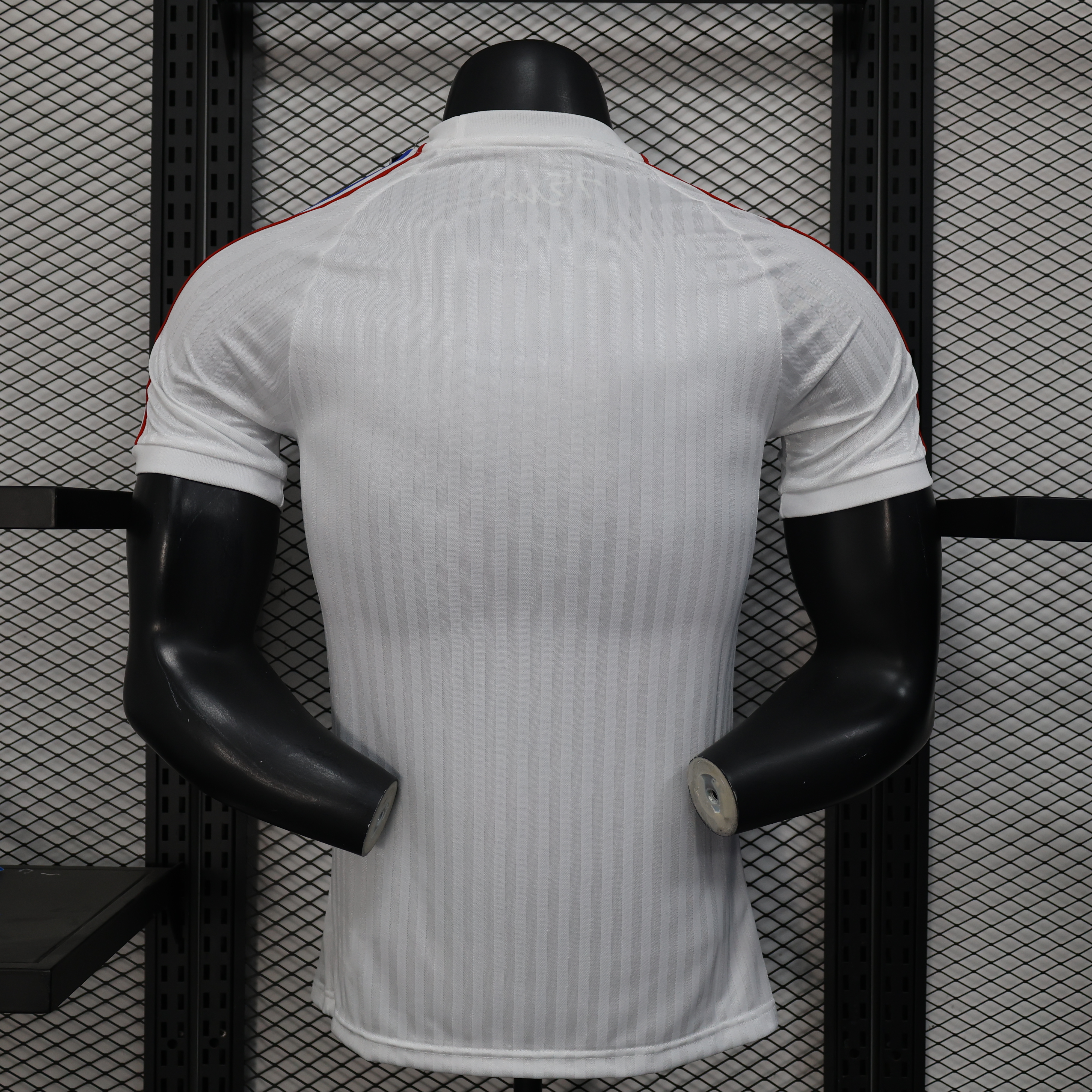 24-25 Lyon Special Jersey/24-25  里昂特别版