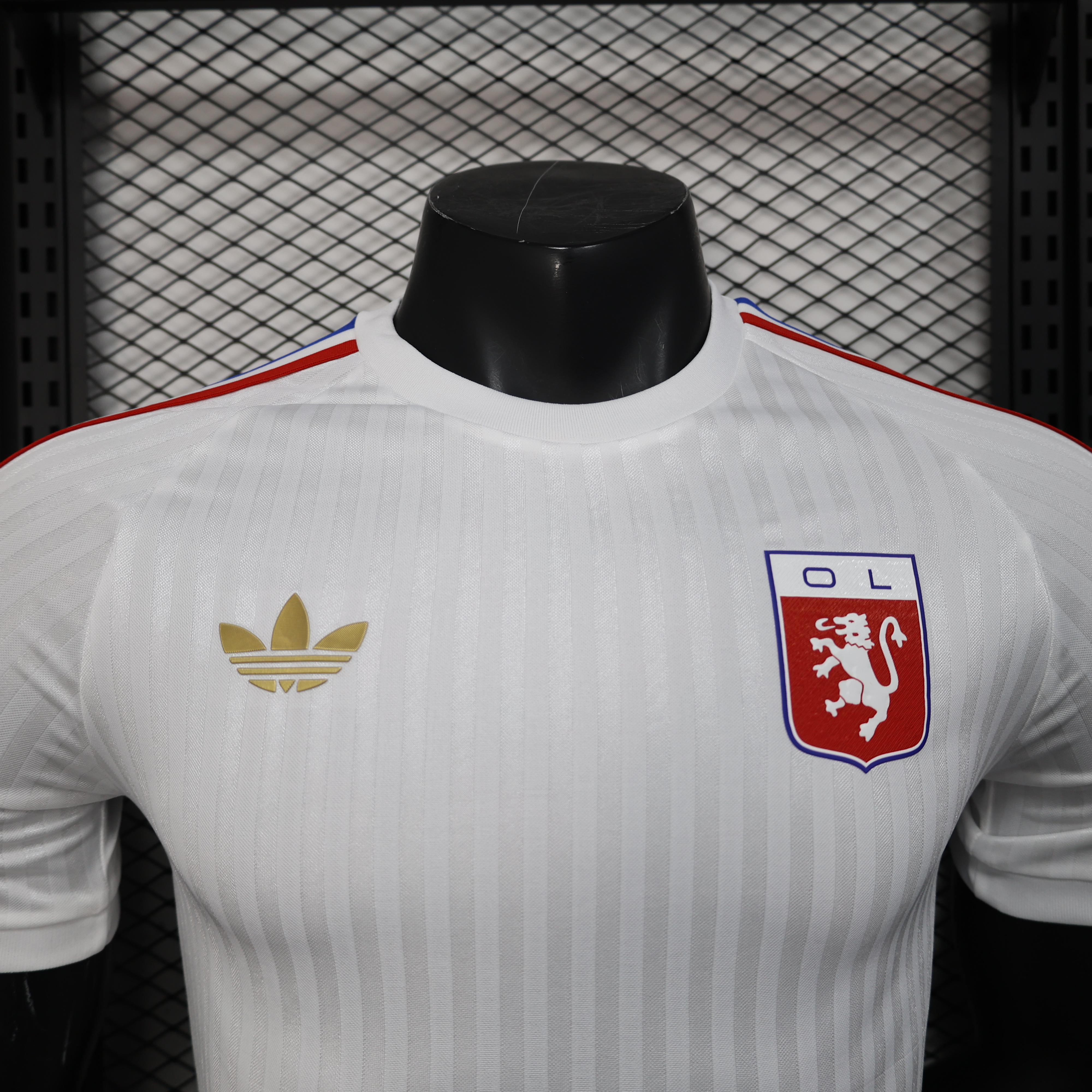 24-25 Lyon Special Jersey/24-25 里昂特别版