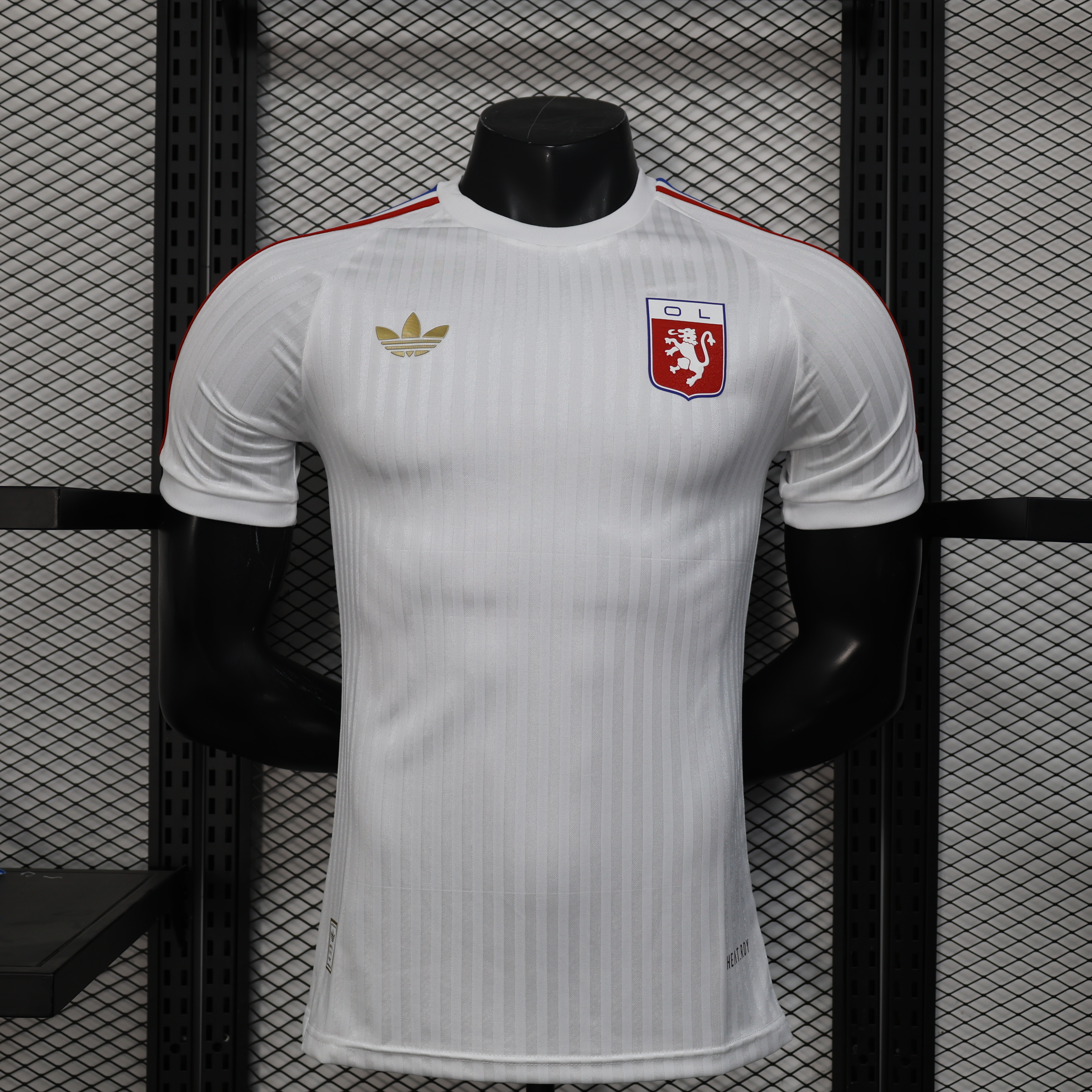 24-25 Lyon Special Jersey/24-25 里昂特别版