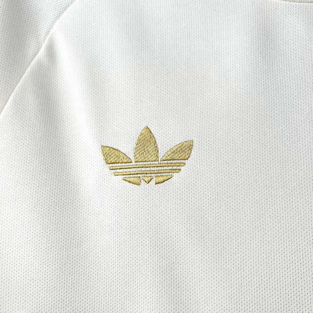 25-26 Lyon Special Jersey/25-26 里昂特别版