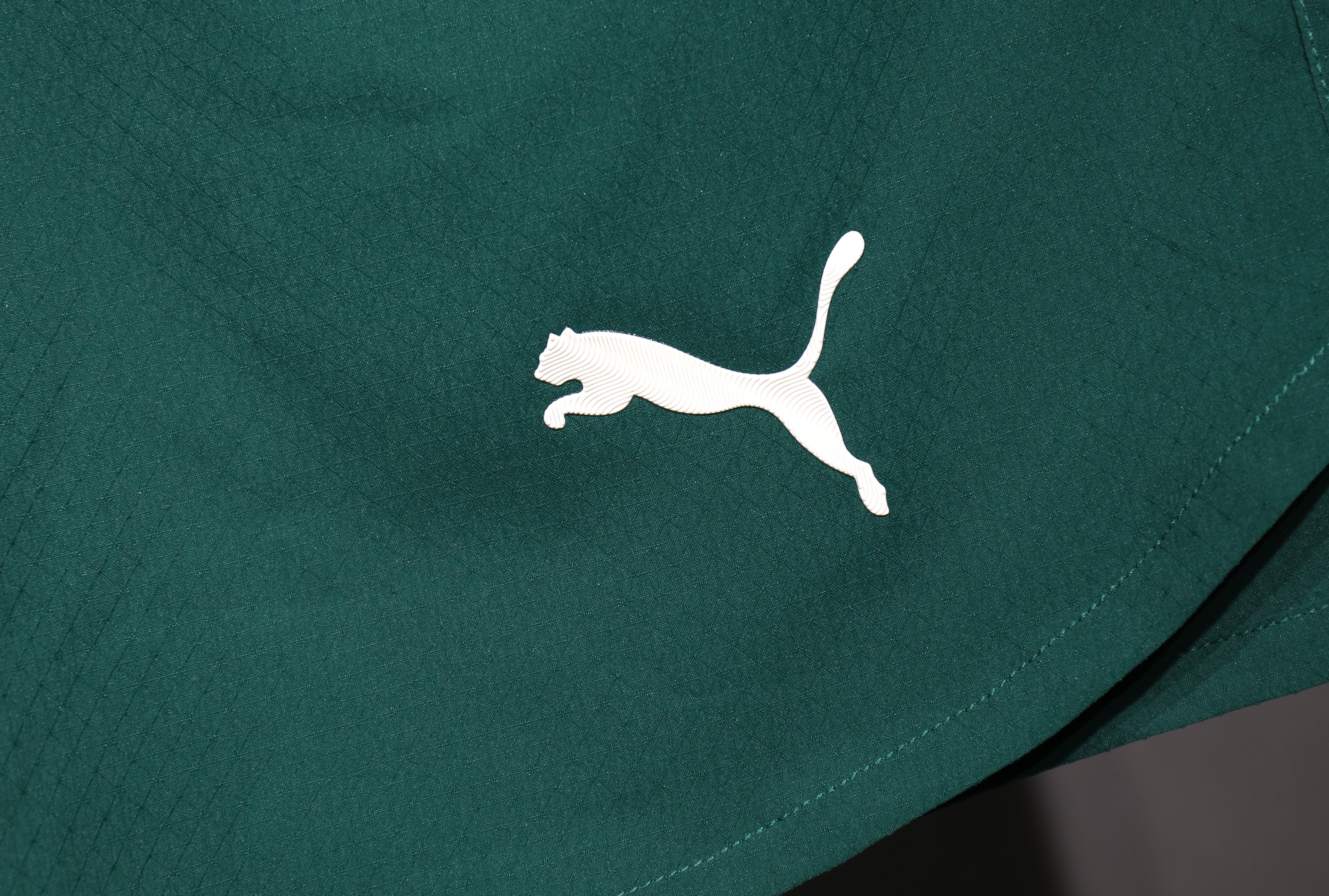 2025 Portugal Home Player Shorts/2025 葡萄牙主场短裤球员