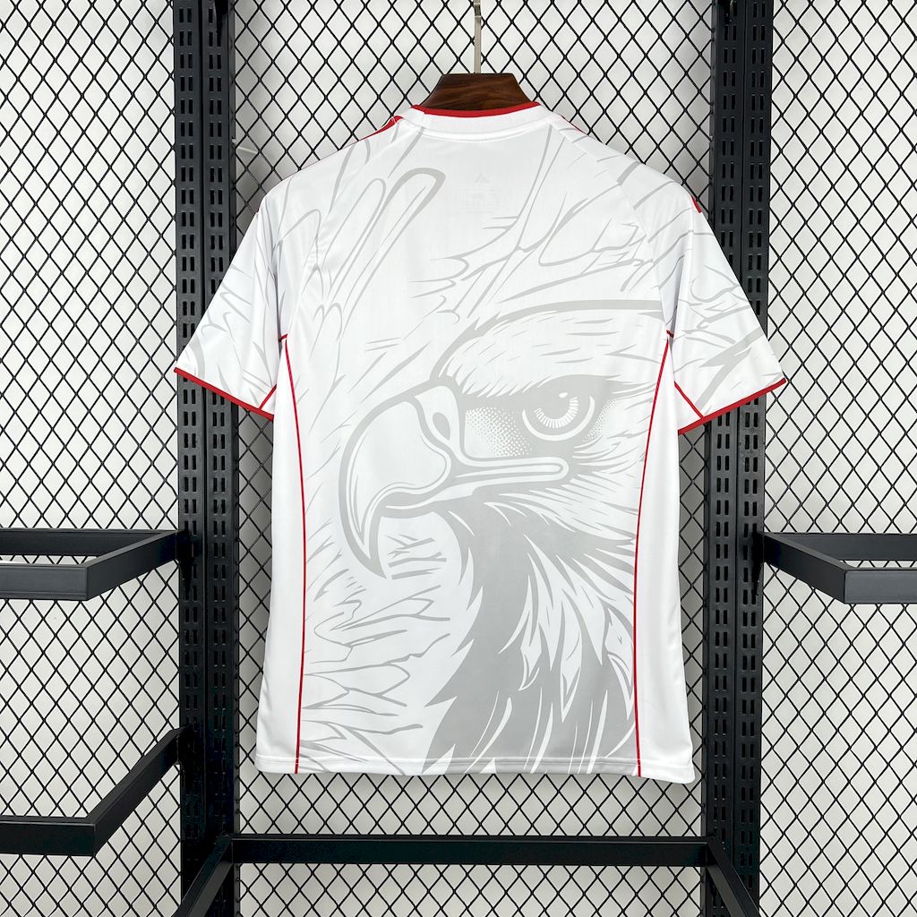 25-26 Benfica Speical Fans Jersey/ 25-26 本菲卡特别版