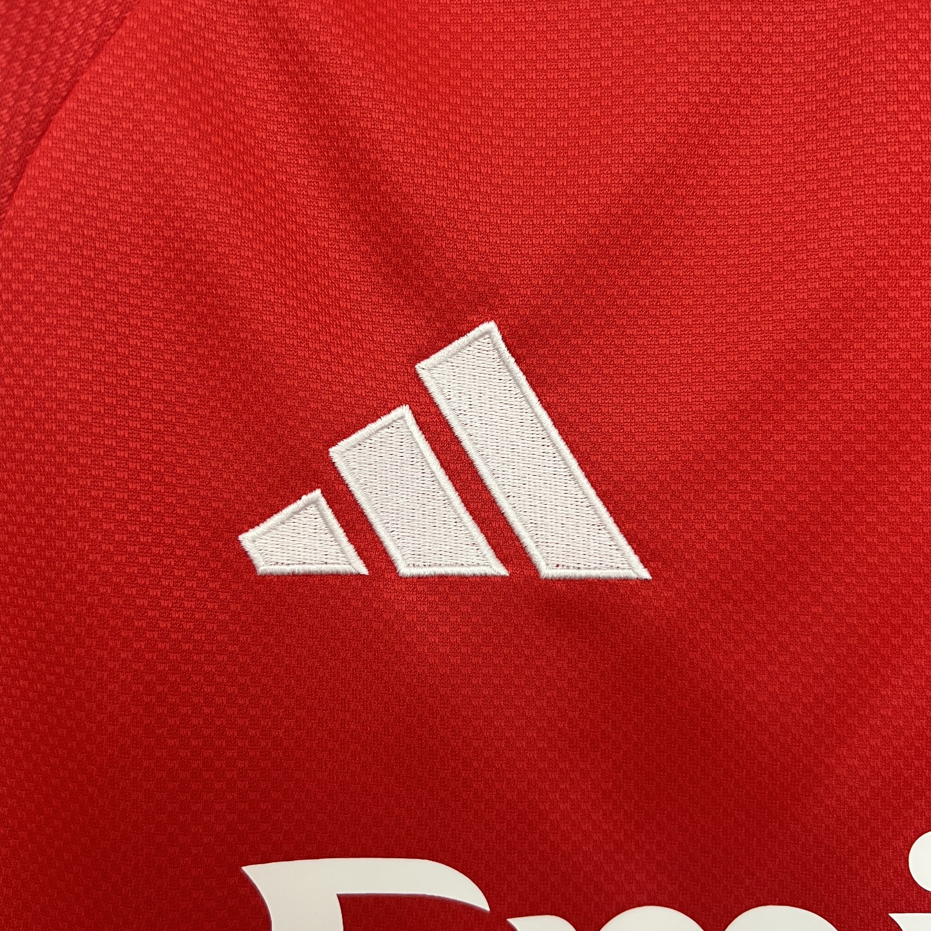 25-26 Benfica Home Fans Long Sleeve/25-26 本菲卡主场球迷长袖