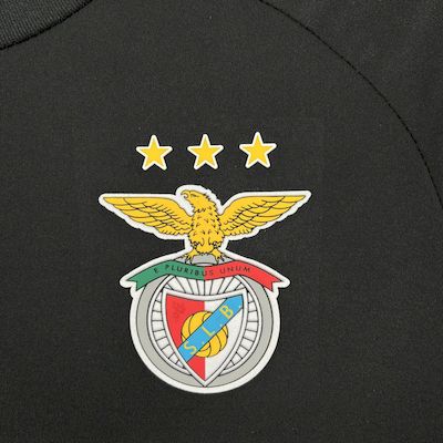 25-26 Benfica Training Fans Jersey/ 25-26 本菲卡训练服