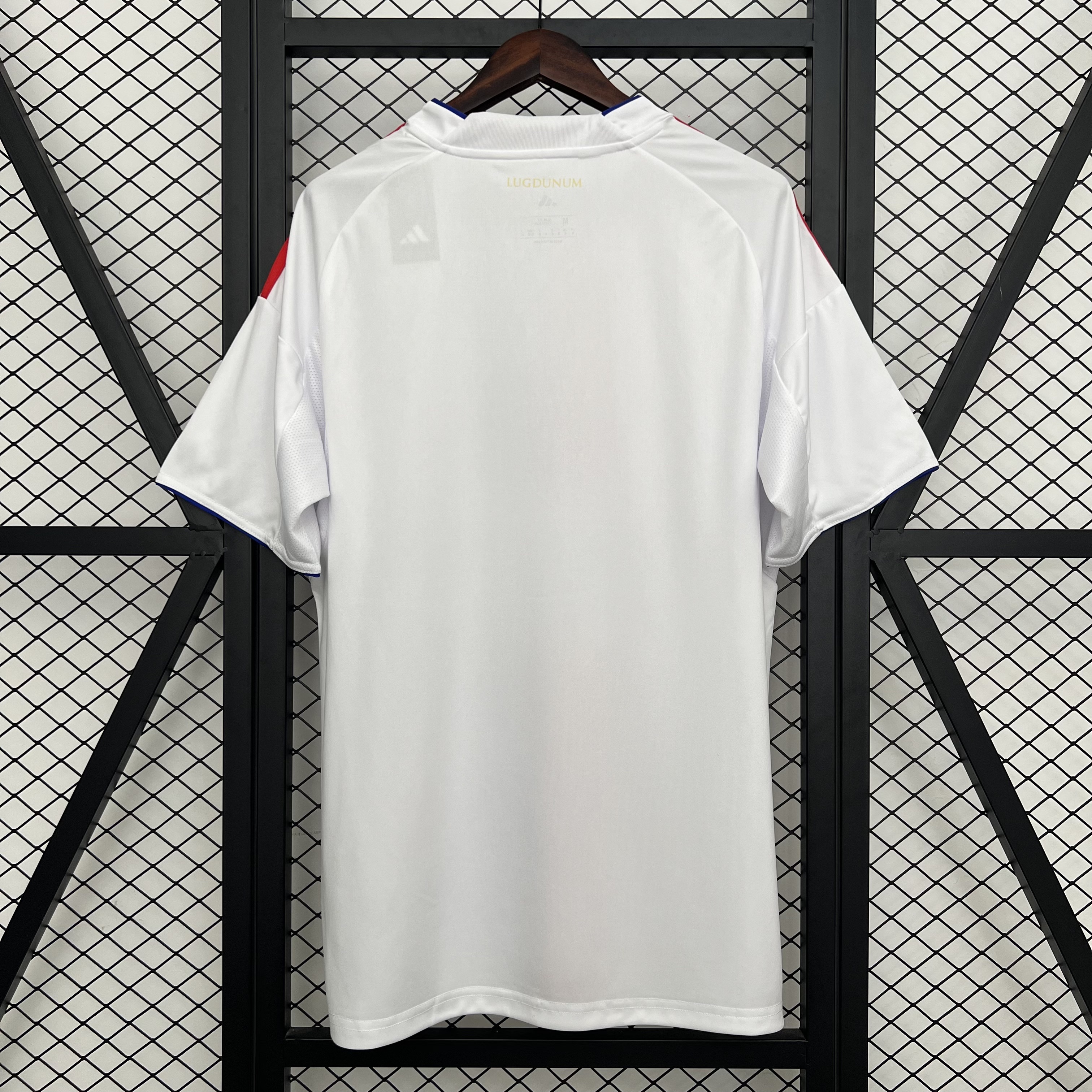 25-26 Lyon Home Fans Jersey /25-26 里昂主场球迷版