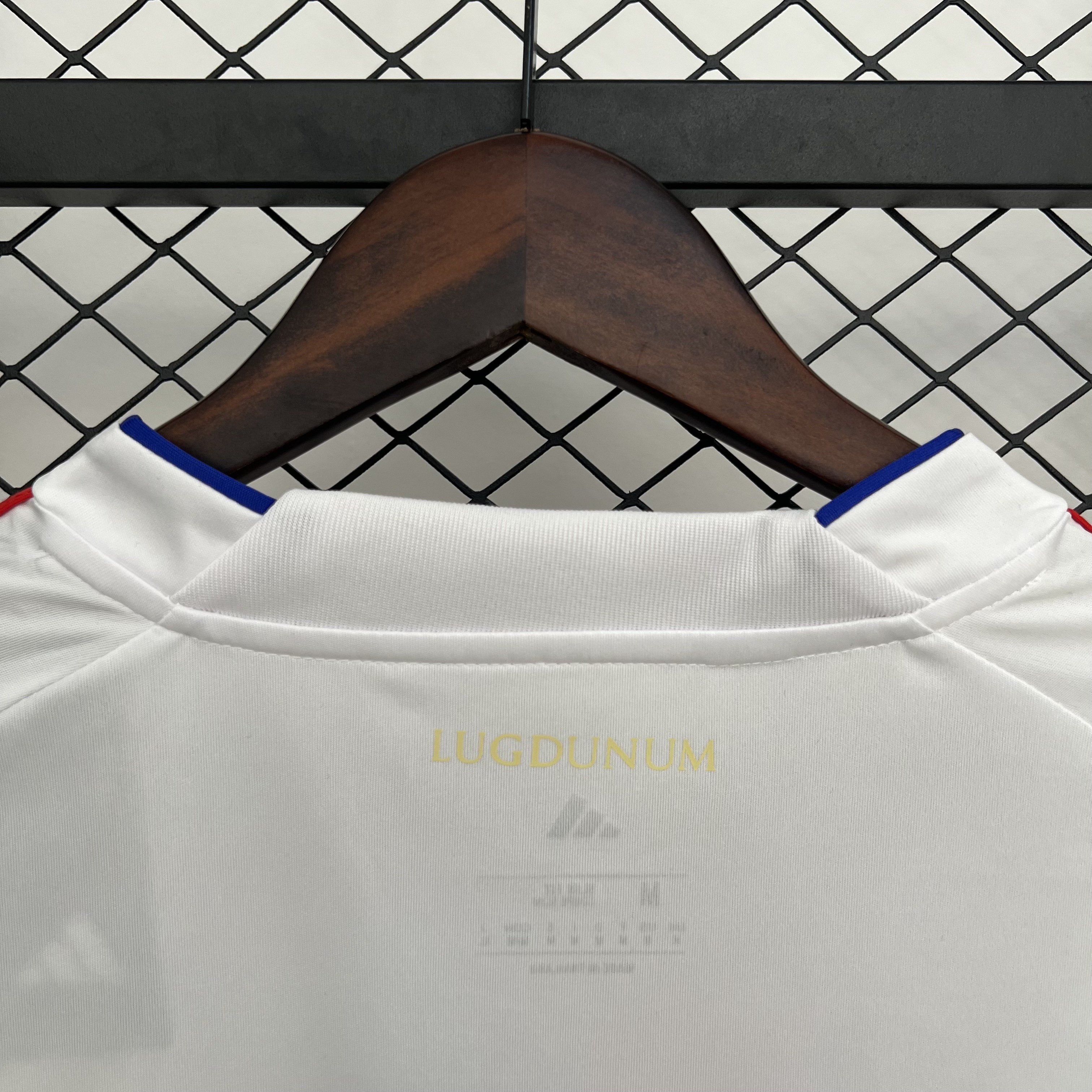 25-26 Lyon Home Fans Jersey /25-26 里昂主场球迷版