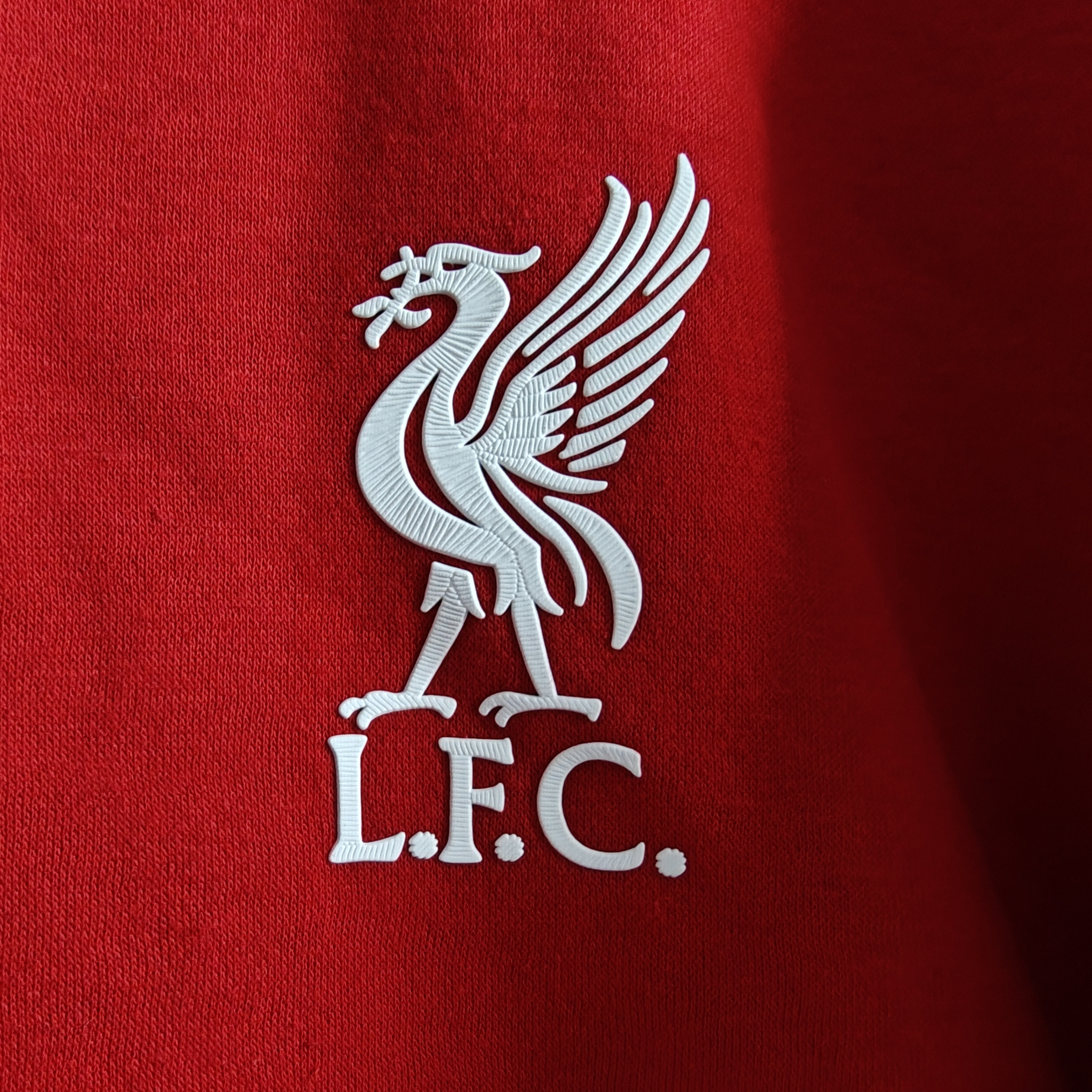 25-26 Liverpool Hoodie/25-26利物浦带帽卫衣